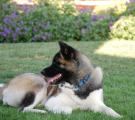 DSC_0092 kopie.jpg